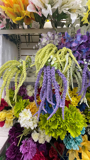 Dollar Store «Dollar Tree», reviews and photos, 8 Newbury St #1b, Danvers, MA 01923, USA