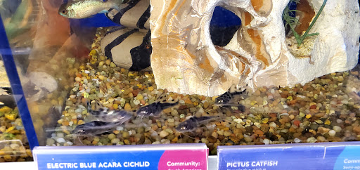 Pet Supply Store «PetSmart», reviews and photos, 215 N Burkhardt Rd, Evansville, IN 47715, USA