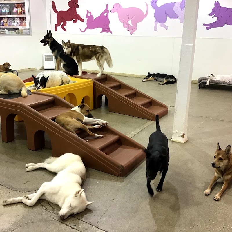 K9 Loft