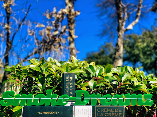 Tobacco Shop «Smoke Dreamz», reviews and photos, 6447 Richmond Ave, Houston, TX 77057, USA