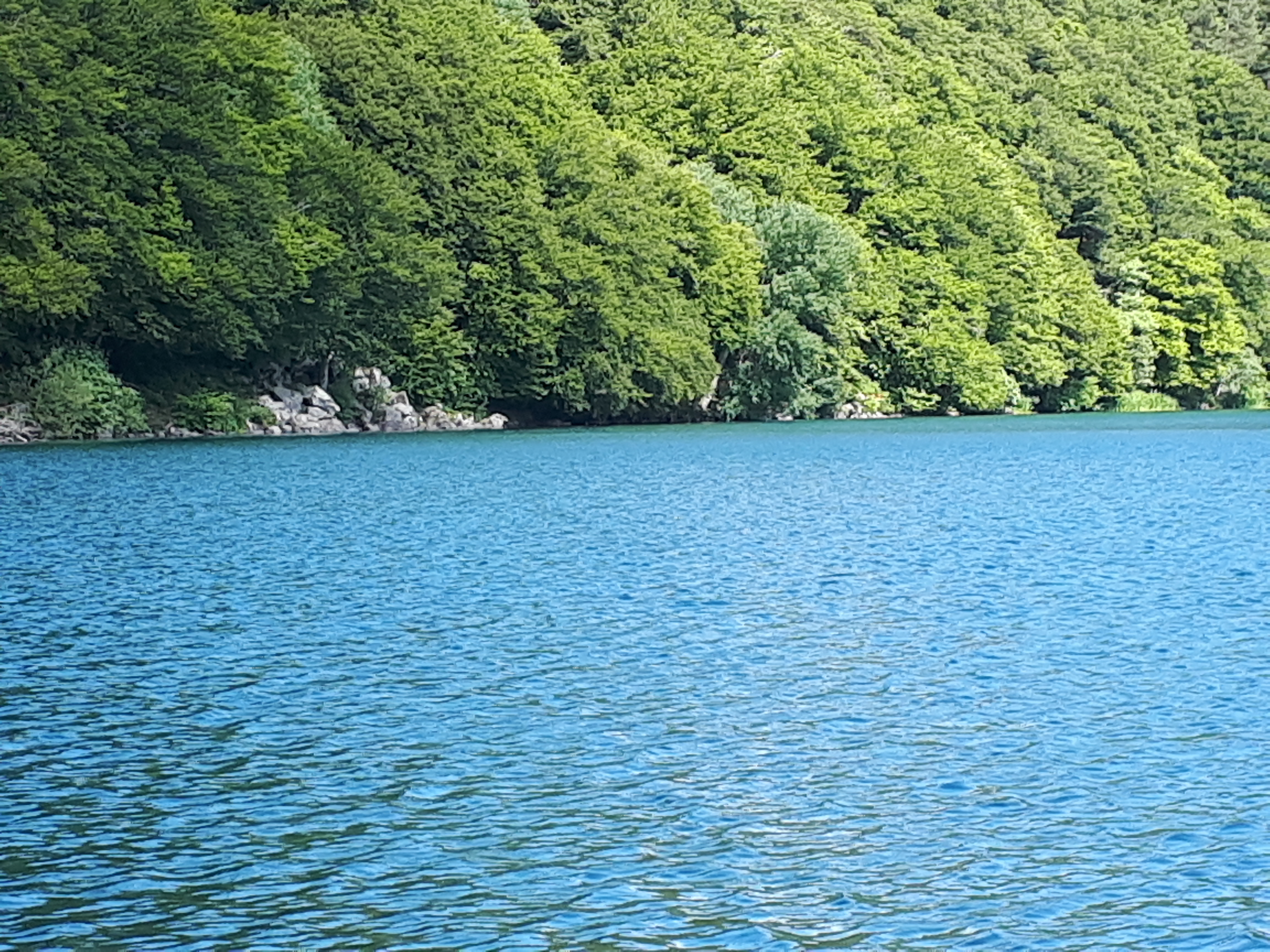 Photo n° 7 de l'avis de Patrick.o fait le 29/07/2018 à 15:39