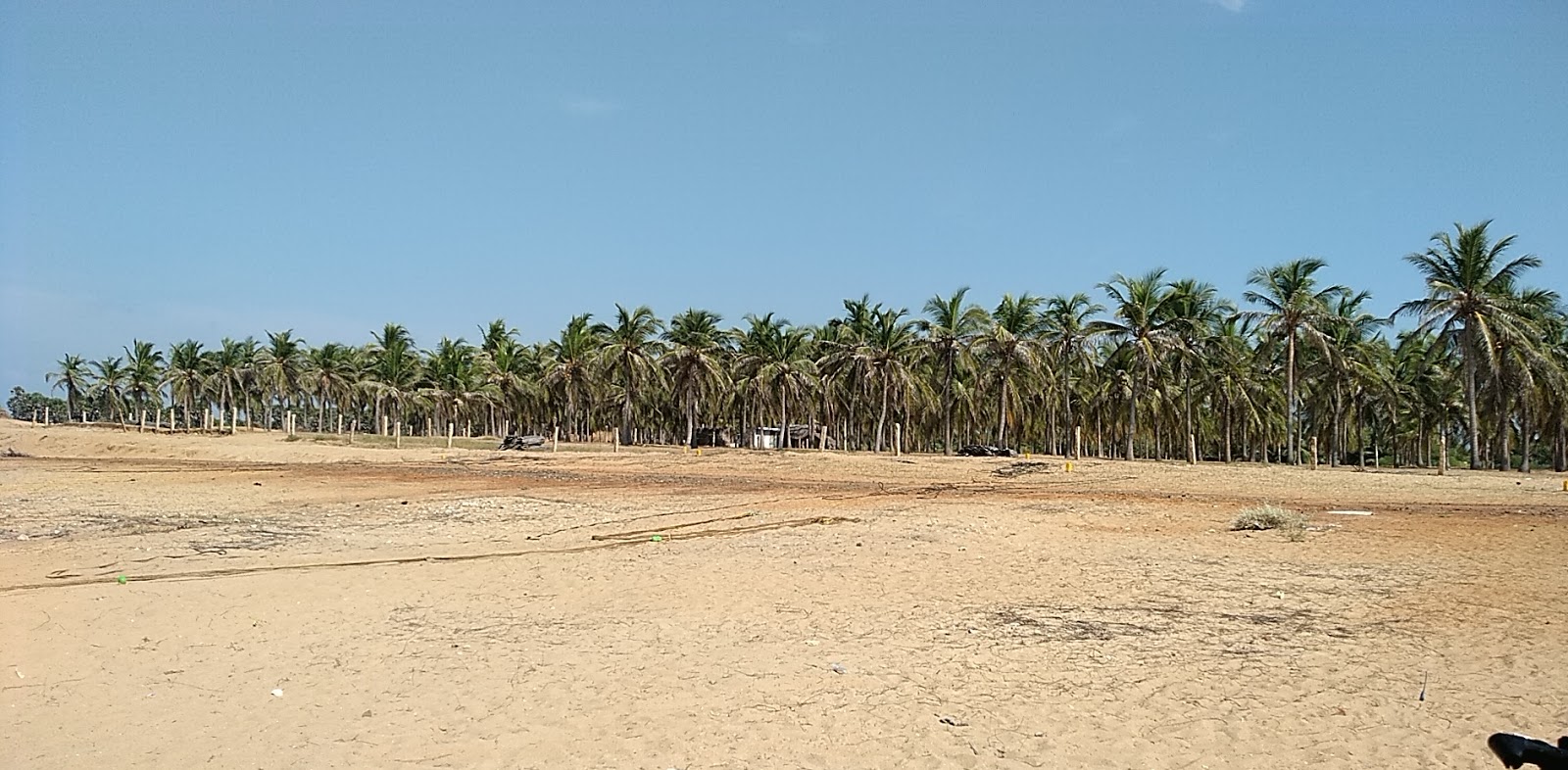 Foto de Pudumadam Beach con muy limpio nivel de limpieza