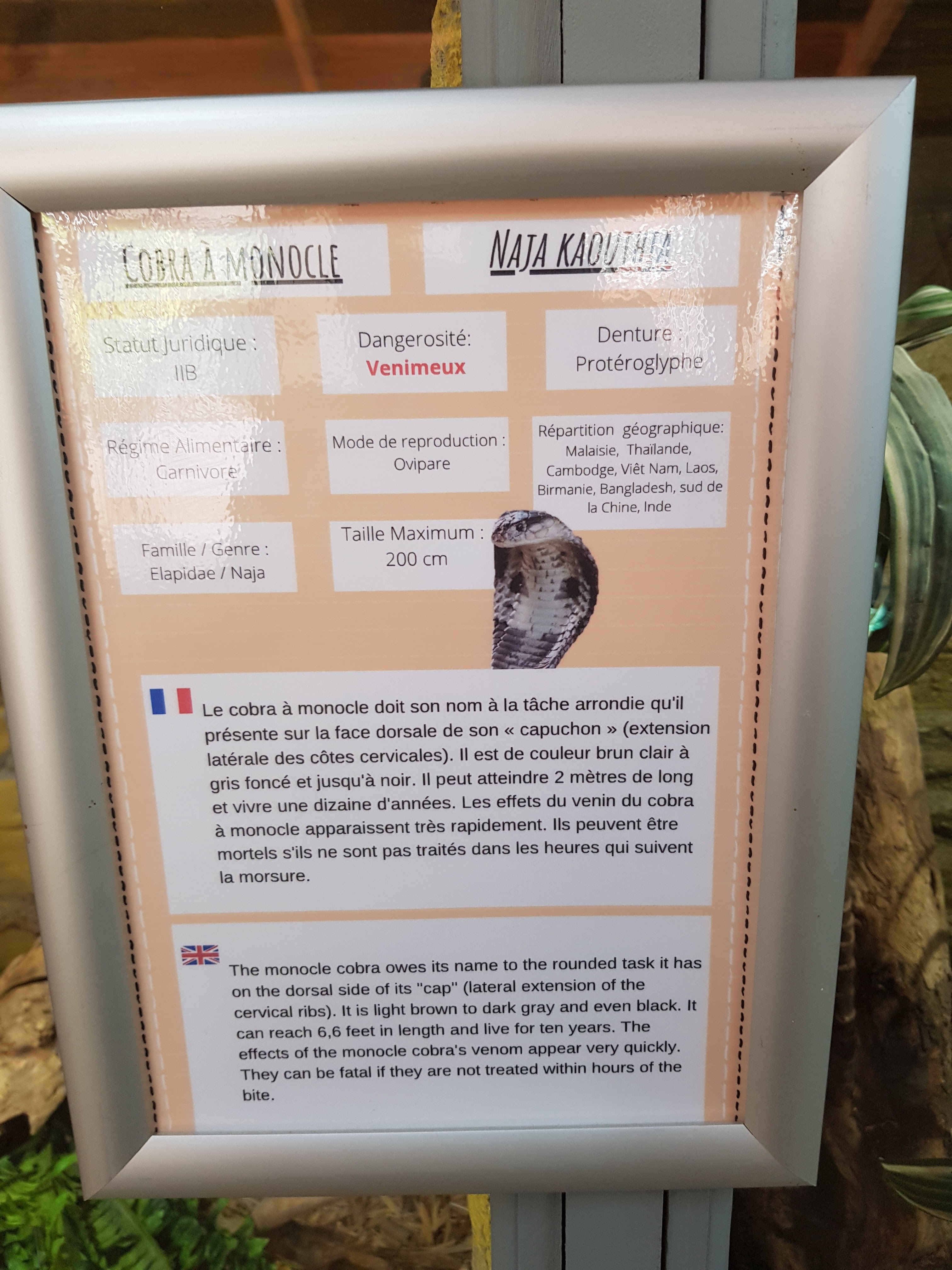 Photo n° 13 de l'avis de Lala.a fait le 24/08/2020 à 19:44