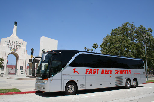 Fast Deer Bus Charter