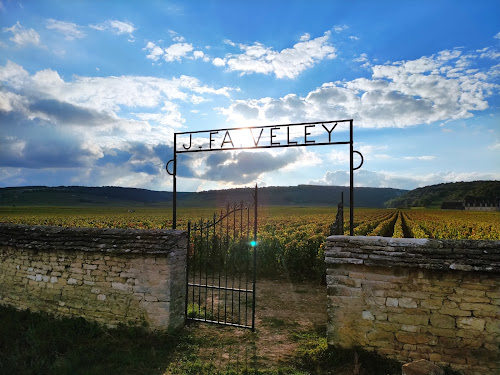 Clos De Bourgogne à Vougeot