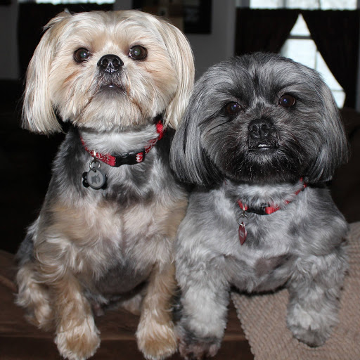 Pet Supply Store «PetSmart», reviews and photos, 160 Washington St #701, Rochester, NH 03839, USA