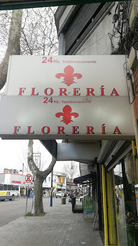 Florería FLOR DE LIS