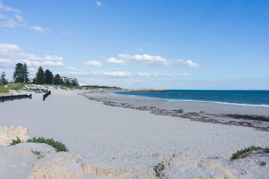 North Coogee Dog Beach的照片 带有宽敞的海岸