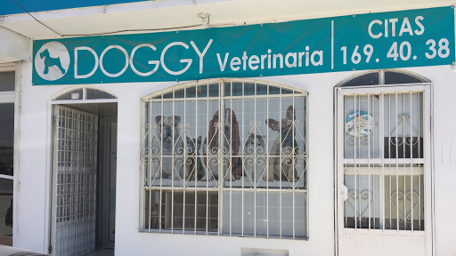 Doggy Vet Care