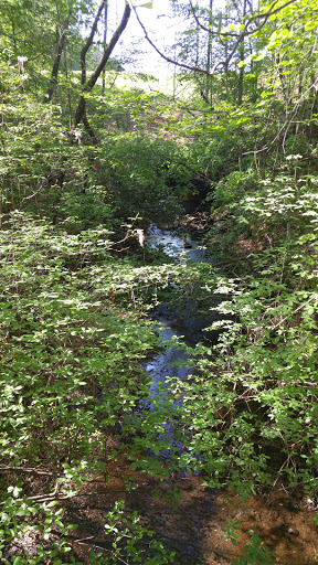 Tourist Attraction «Pettit Environmental Preserve», reviews and photos, 29 Vineyard Rd, Dallas, GA 30132, USA