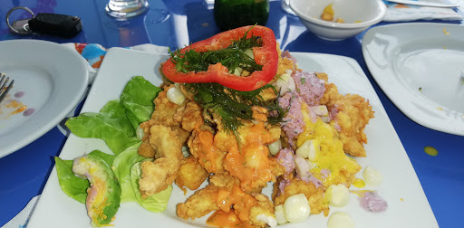 El Pulpo Marino