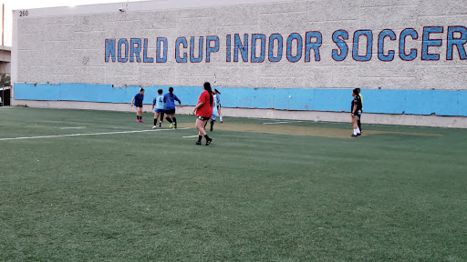 World Cup Indoor Soccer