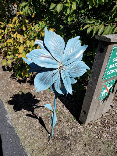 Nature Preserve «Goodenow Grove Nature Preserve», reviews and photos, 27064 Dutton Rd, Beecher, IL 60401, USA