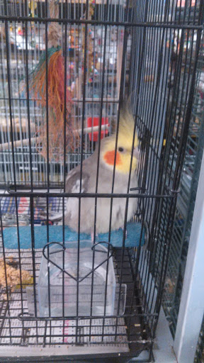 Pet Store «Pet Zone», reviews and photos, 8925 Jewella Ave #4, Shreveport, LA 71118, USA