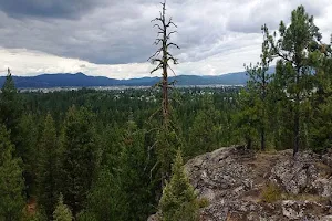 Post Falls Community Forest image