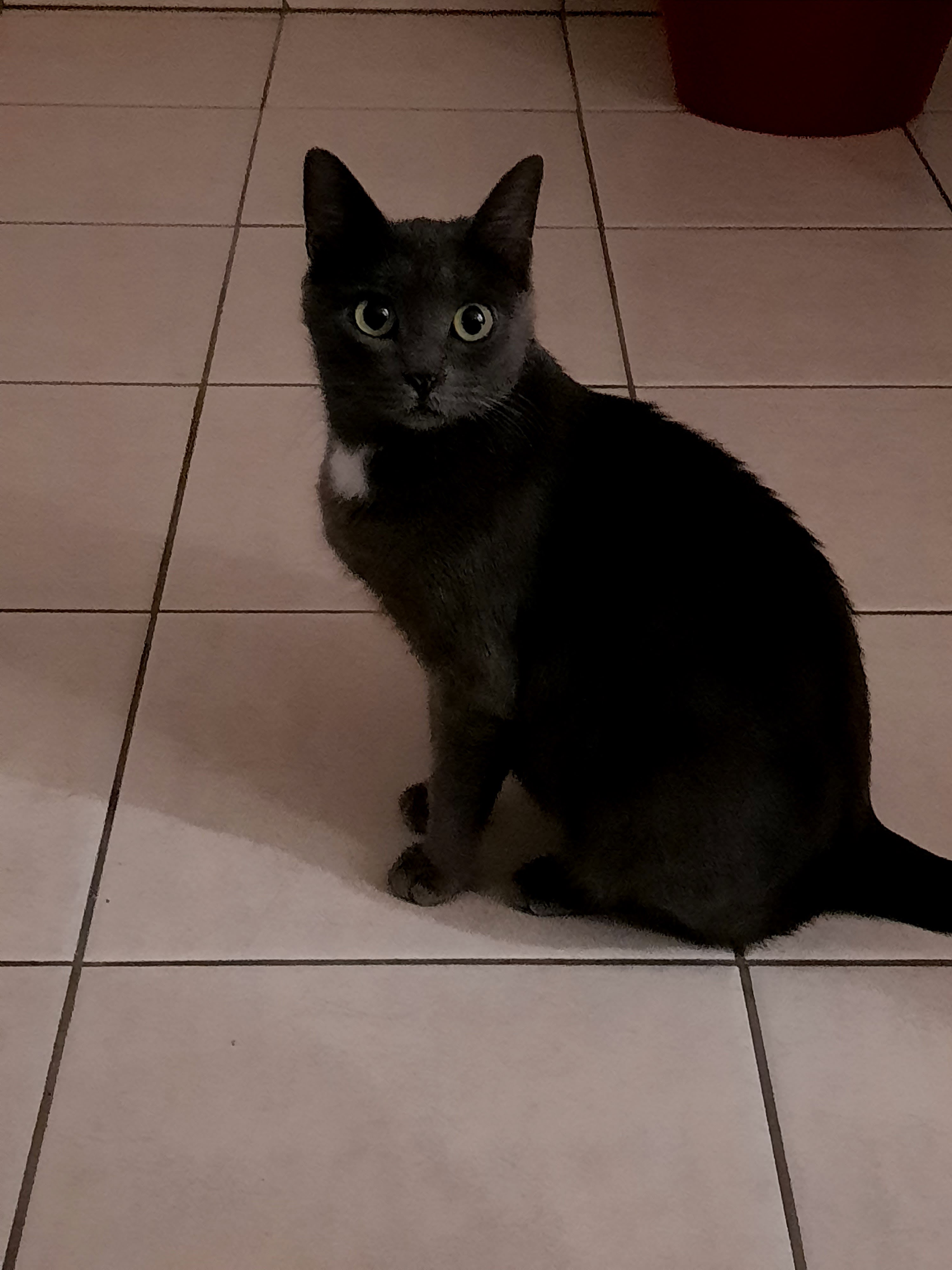 Photo n° 5 de l'avis de Line.a fait le 30/10/2020 à 20:26