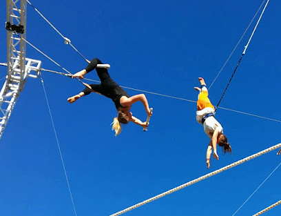 Hawkes Bay Flying Trapeze
