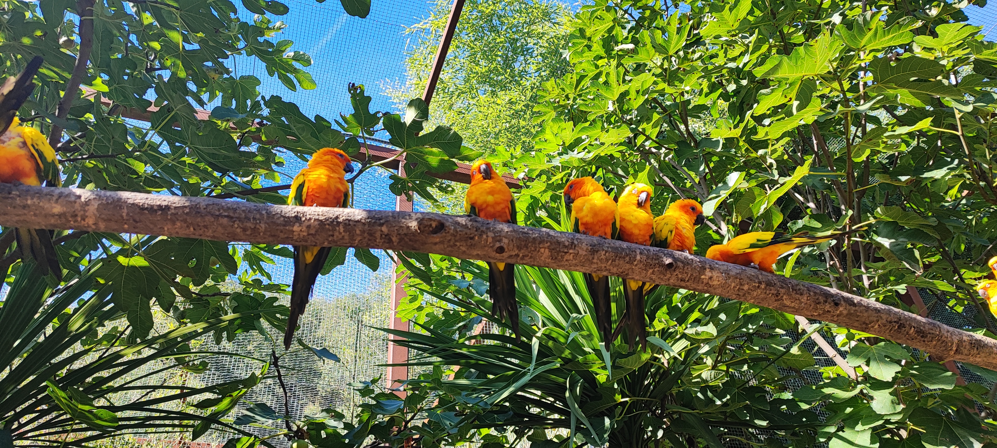 Photo n° 3 de l'avis de Thierry.i fait le 28/09/2023 à 17:40