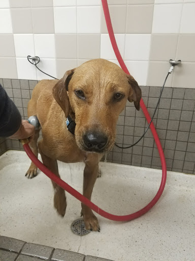 Pet Supply Store «Pet Food Express», reviews and photos, 280 Northgate Dr, San Rafael, CA 94903, USA