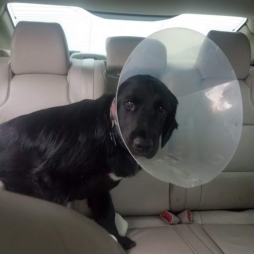 Pet Supply Store «Petco Animal Supplies», reviews and photos, 200 McMahan Blvd, Marion, OH 43302, USA