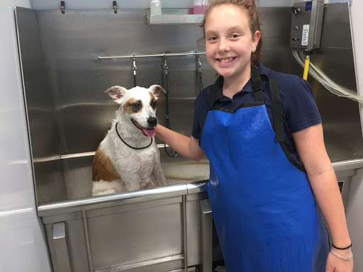 Pet Supply Store «Brookside Barkery & Bath», reviews and photos, 118 W 63rd St, Kansas City, MO 64113, USA