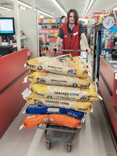 Home Improvement Store «Tractor Supply Co.», reviews and photos, 2423 N Lebanon St, Lebanon, IN 46052, USA