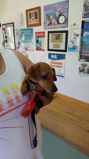 Cumback Veterinary Services image