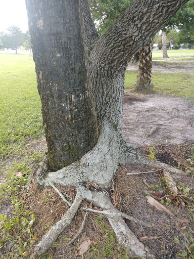 Golf Course «Riviera Country Club», reviews and photos, 500 Calle Grande St, Ormond Beach, FL 32174, USA