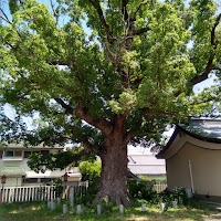 金岡神社