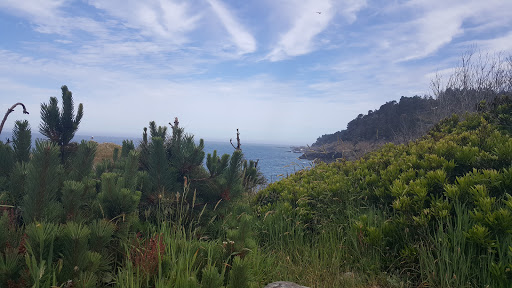 General Store «Ocean Cove General Store», reviews and photos, 23125 CA-1, Jenner, CA 95450, USA