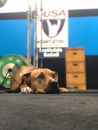 Gym «CrossFit Infinite Strength», reviews and photos, 8425 N 90th St #3, Scottsdale, AZ 85258, USA