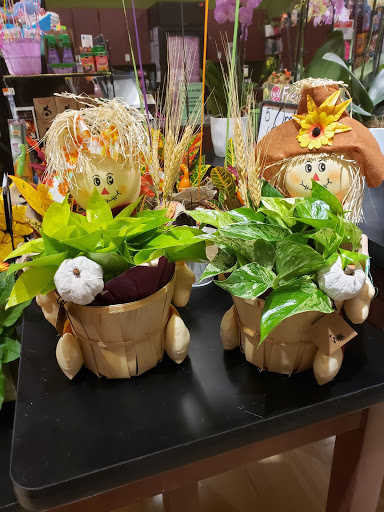 Supermarket «Big Y», reviews and photos, 441 N Main St, East Longmeadow, MA 01028, USA