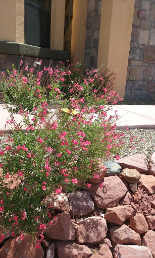 Golf Course «Verde Santa Fe Golf Course», reviews and photos, 645 Verde Santa Fe Pkwy, Cornville, AZ 86325, USA