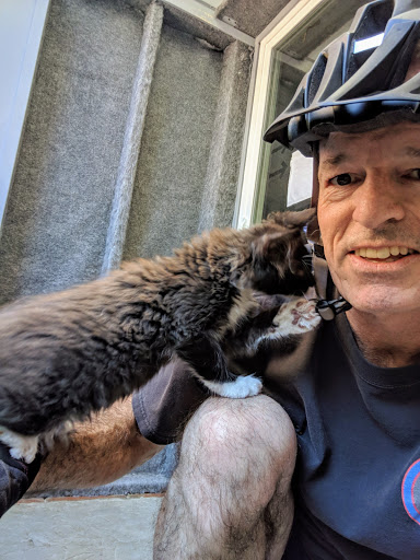 Pet Store «Sand Bar Pet Shop», reviews and photos, 25571 Marguerite Pkwy, Mission Viejo, CA 92692, USA