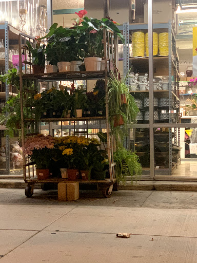 Florist «Sunfresh Flower Mart», reviews and photos, 14507 Hawthorne Blvd, Lawndale, CA 90260, USA