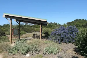 Nipomo Native Garden image