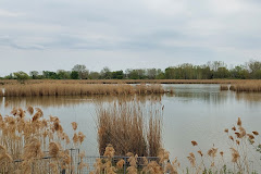 Wawanosh Wetlands Conservation Area
