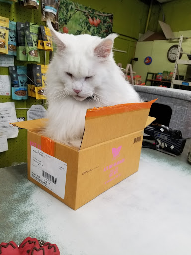 Pet Supply Store «Animal Krackers Inc», reviews and photos, 232 Main St, Gloucester, MA 01930, USA