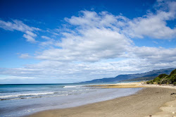 South Coastal Track Beach'in fotoğrafı imkanlar alanı