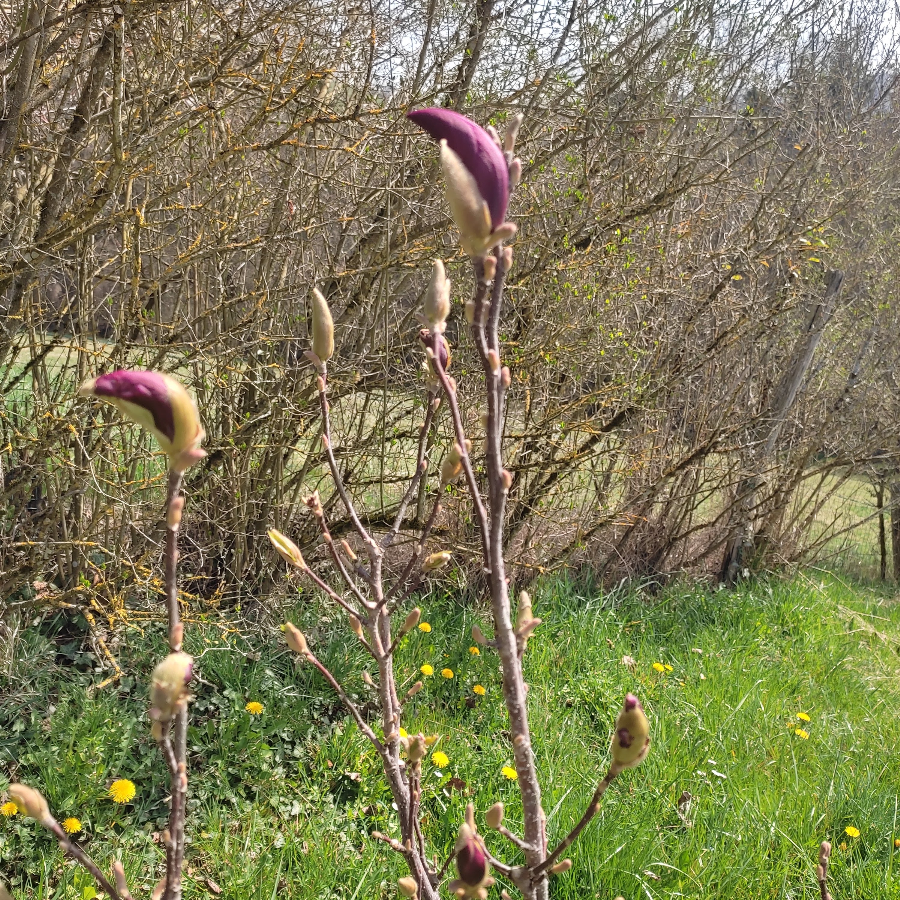 Photo n° 2 de l'avis de Véronique.o fait le 05/04/2022 à 19:50