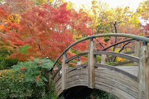 Japanese Garden image