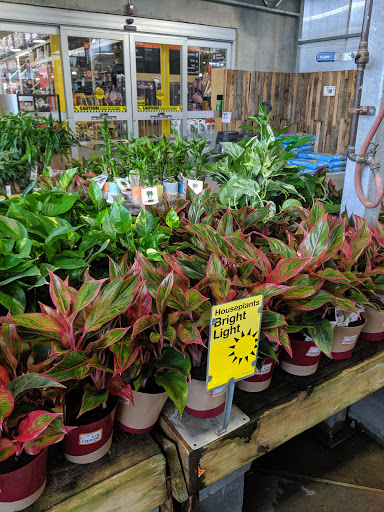 Home Improvement Store «The Home Depot», reviews and photos, 1500 Rome Hwy, Cedartown, GA 30125, USA