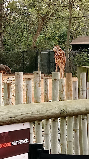 Recreation Center «Clayton County Parks & Recreation», reviews and photos, 2300 State Highway 138, Jonesboro, GA 30236, USA