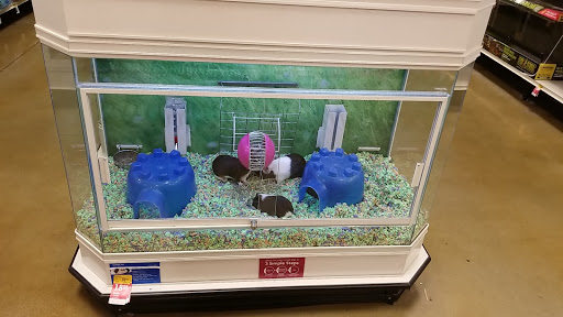 Pet Supply Store «PetSmart», reviews and photos, 2141 N Rose Ave, Oxnard, CA 93036, USA