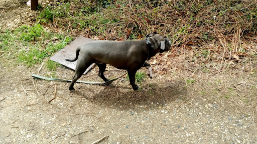 Park «Fort Circle Park», reviews and photos, Minnesota Ave SE, Washington, DC 20019, USA