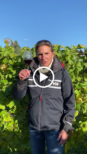 Winery «Bel Lago Vineyards & Winery», reviews and photos, 6530 S Lake Shore Dr, Cedar, MI 49621, USA