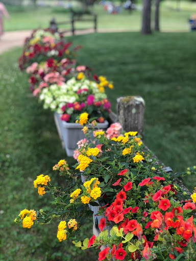 Winery «Alexis Bailly Vineyard», reviews and photos, 18200 Kirby Ave S, Hastings, MN 55033, USA