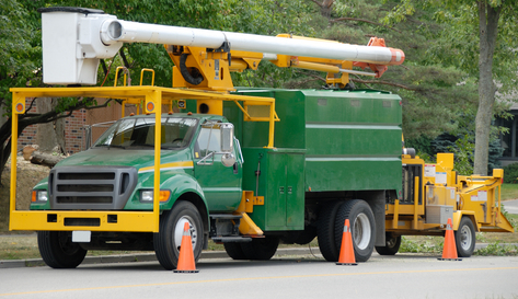 Greater Leominster Tree Service