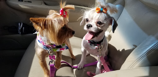 Pet Groomer «Puppies & Grooming», reviews and photos, 28858 S Dixie Hwy, Homestead, FL 33033, USA