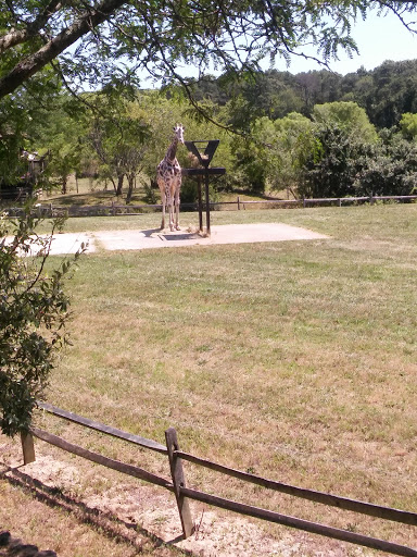 Tourist Attraction «Tree To Tree Cape May», reviews and photos, 707 U.S. 9, Cape May Court House, NJ 08210, USA